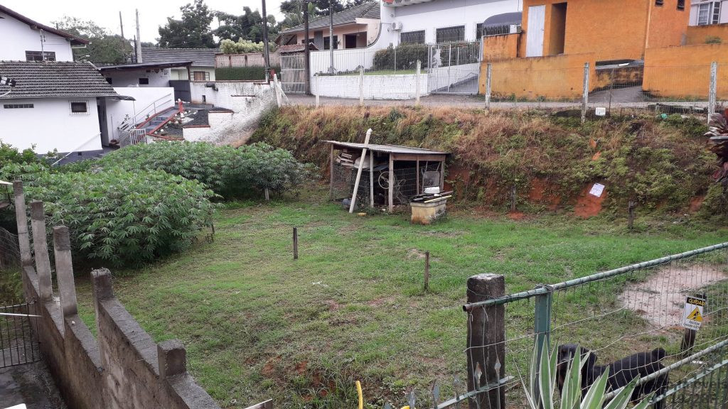 Velha Velha