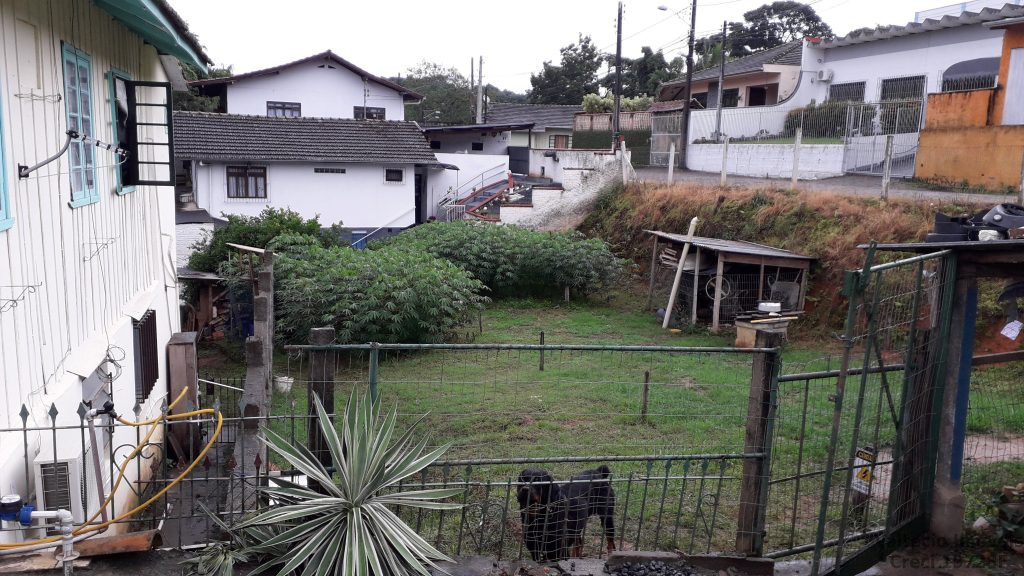 Velha Velha