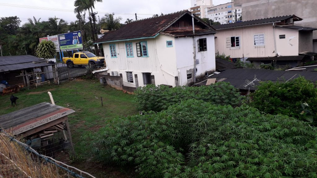 Velha Velha