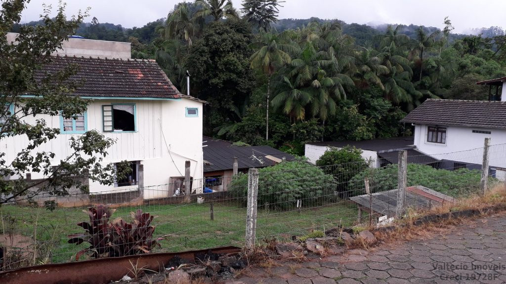 Velha Velha