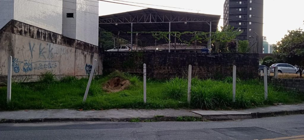 Blumenau Garcia Blumenau Garcia