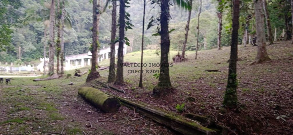 Ilha do Sossego Garcia Blumenau Ilha do Sossego Garcia Blumenau