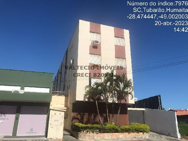 Tubarão Humaitá