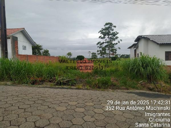 Criciúma – Vila Rica